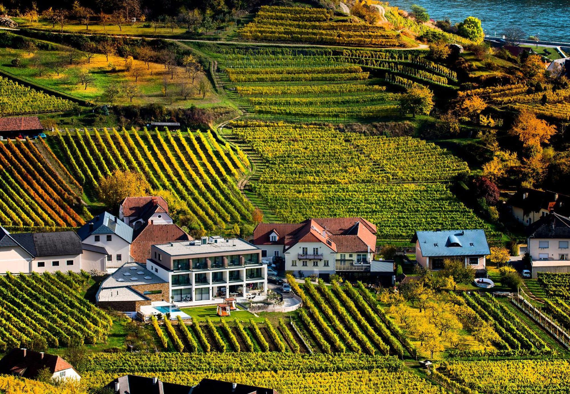 Apartamento Weingut Donabaum "In Der Spitz" Spitz an der Donau Habitación foto