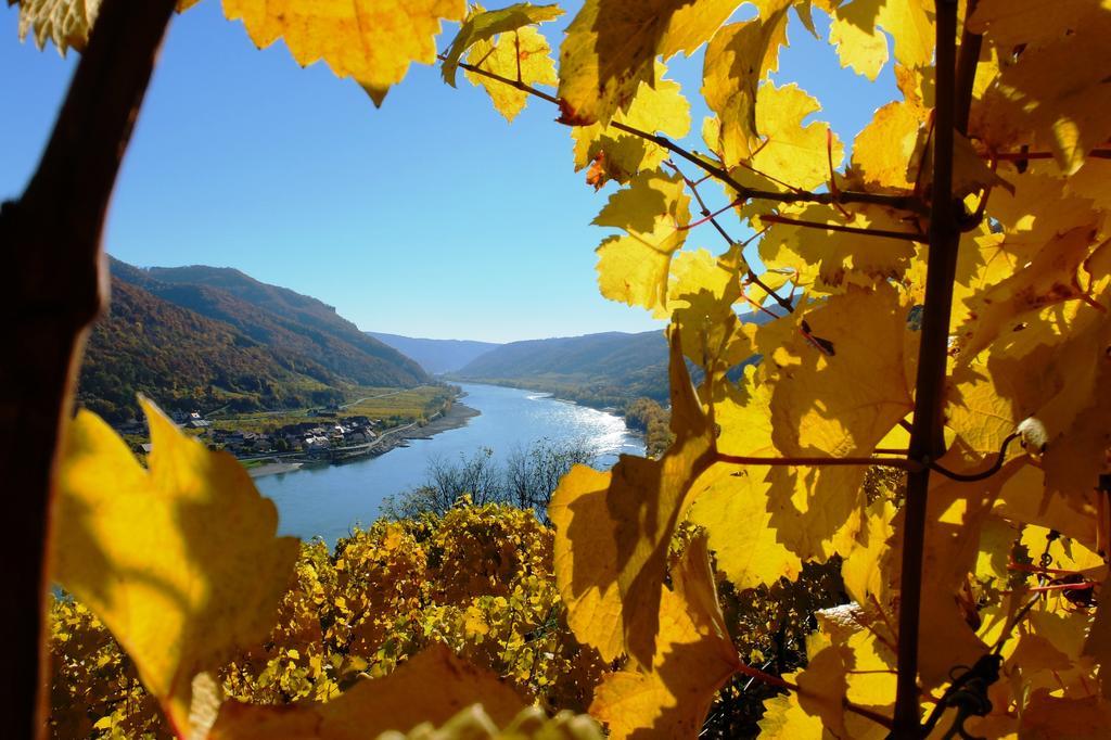 Apartamento Weingut Donabaum "In Der Spitz" Spitz an der Donau Exterior foto