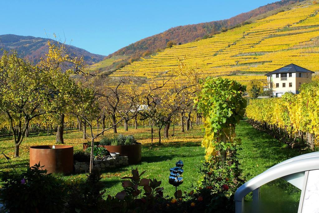Apartamento Weingut Donabaum "In Der Spitz" Spitz an der Donau Exterior foto