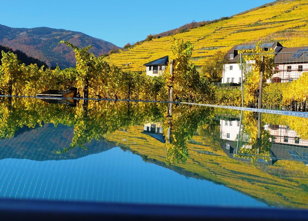 Apartamento Weingut Donabaum "In Der Spitz" Spitz an der Donau Exterior foto