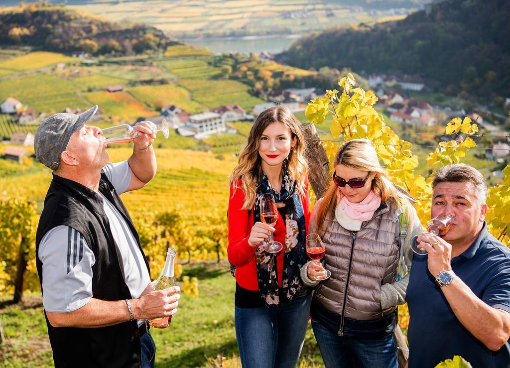 Apartamento Weingut Donabaum "In Der Spitz" Spitz an der Donau Exterior foto